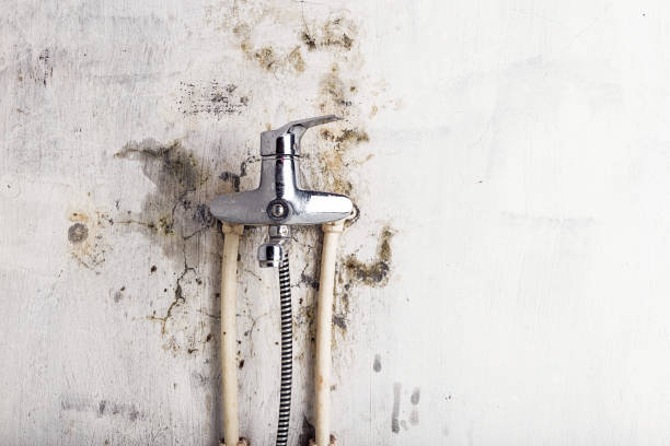 Best Preventive Mold Services in Pahrump, NV